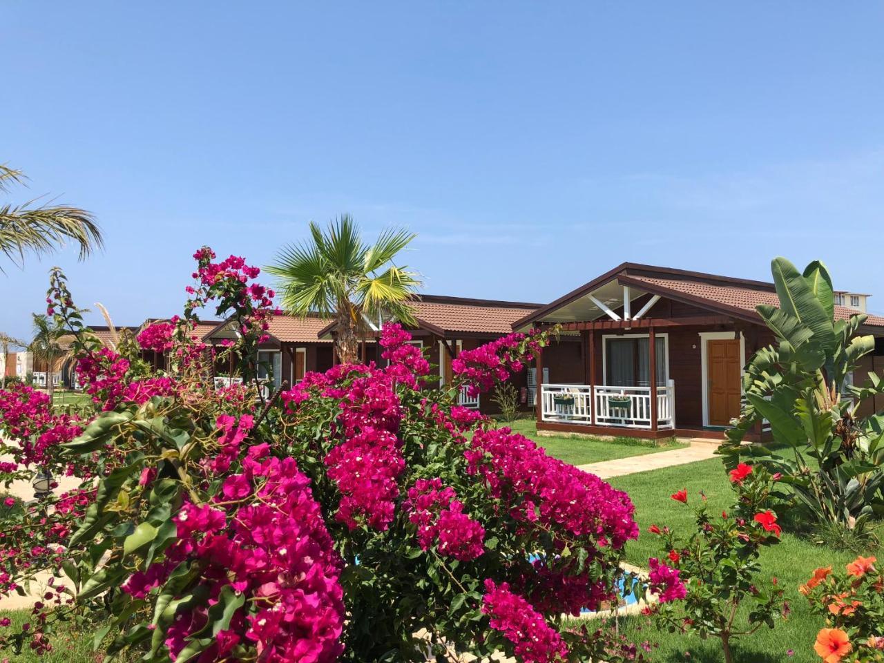 Sedir Park - Beach Bungalow Kargicak  Esterno foto